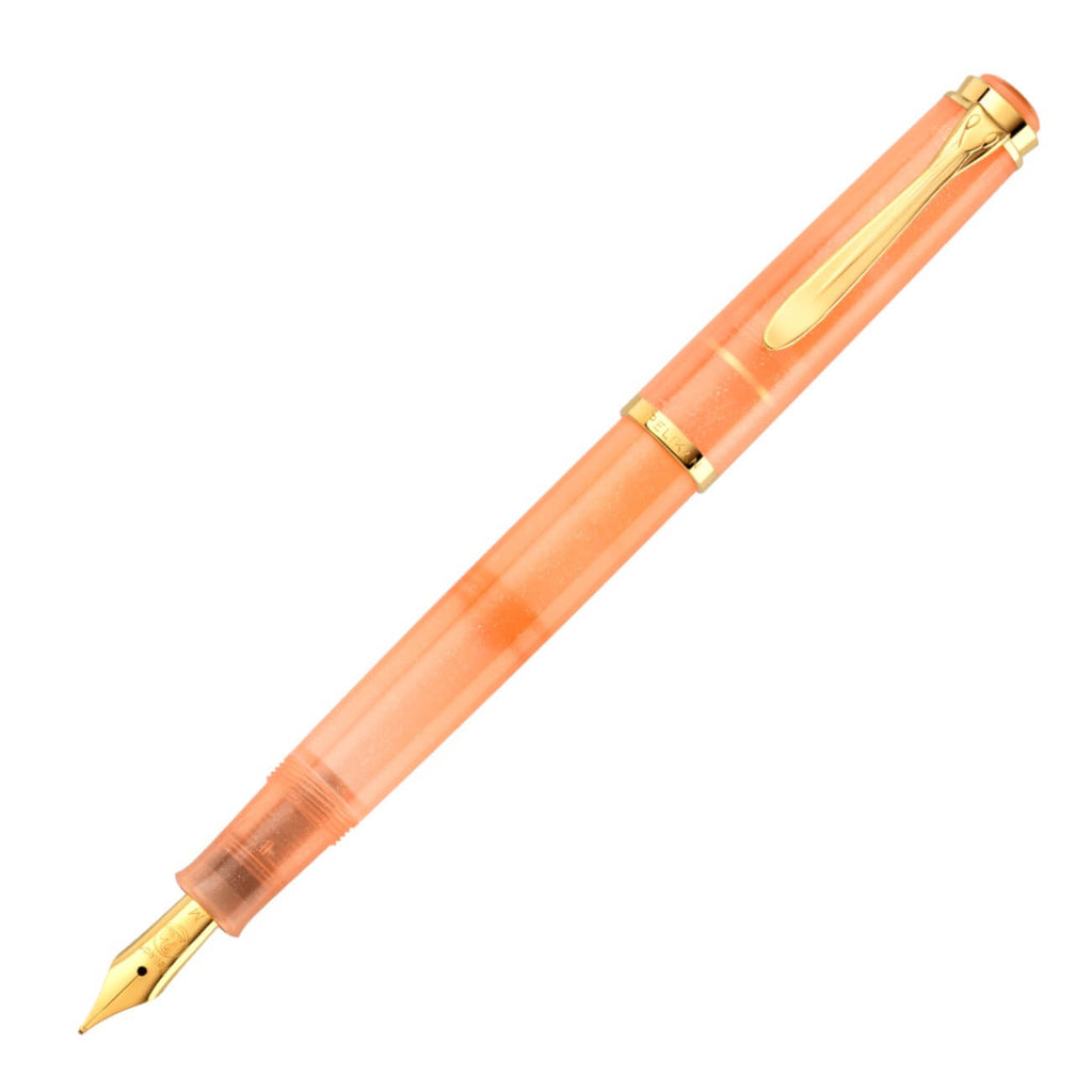 Pelikan Classic 200 Füllhalter – Braun-marmoriert, Feder F (fein), Kolbenfüller Im Geschenketui