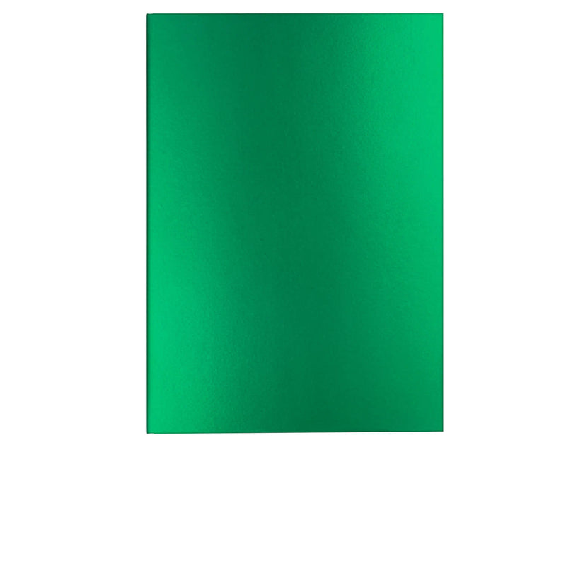 caran d'ache colormat-x Notizbuch metallic grün liniert